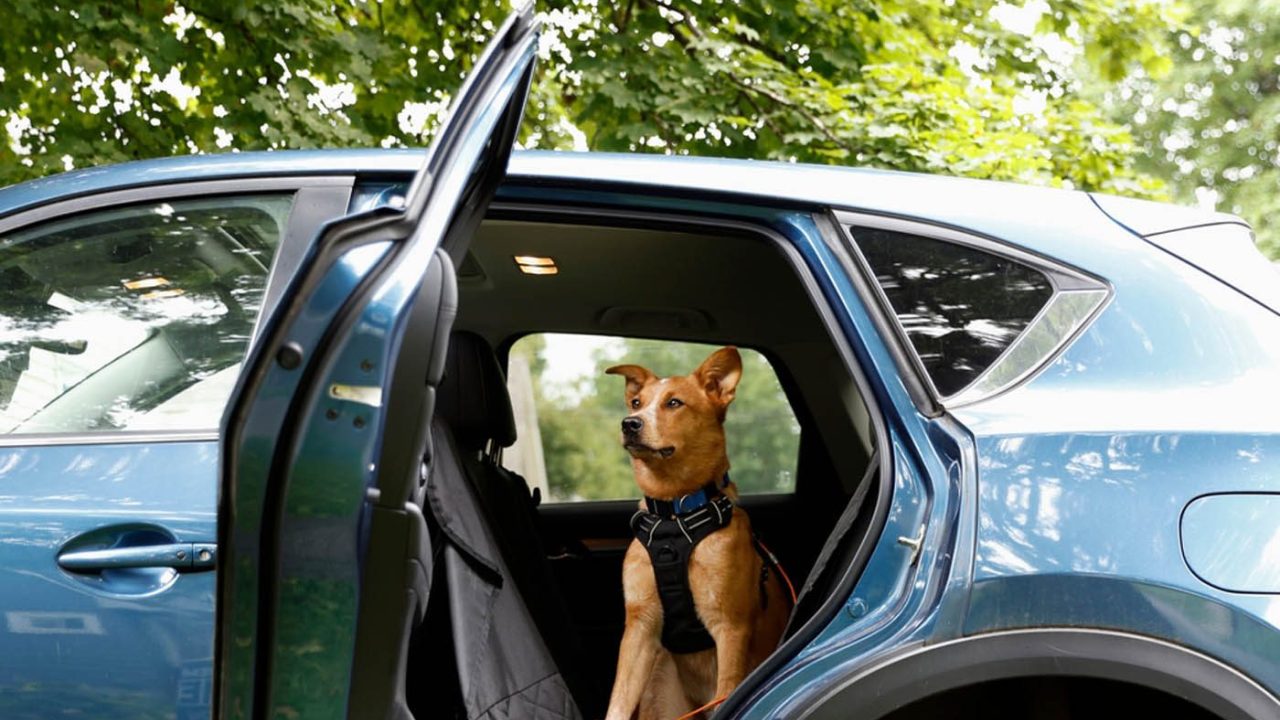Op warme dagen controleren we de auto's!