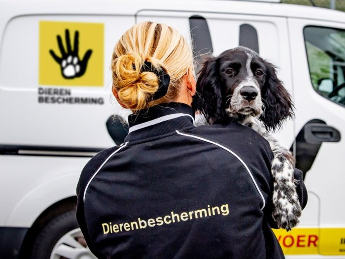Thor DA 2 nieuw logo