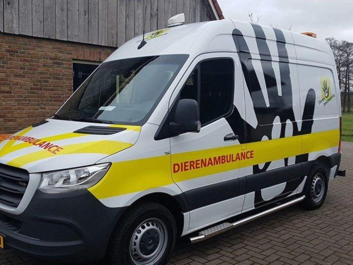 Ambu almelo