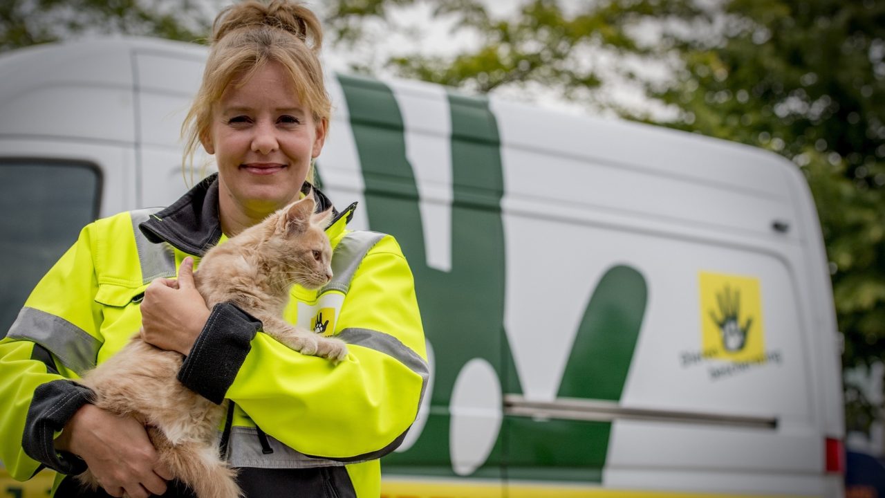 Nieuw telefoonnummer voor Dierenambulance Brabant ZuidOost