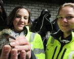 Carolyn en kim en eerste jonge duif van 2020 ws