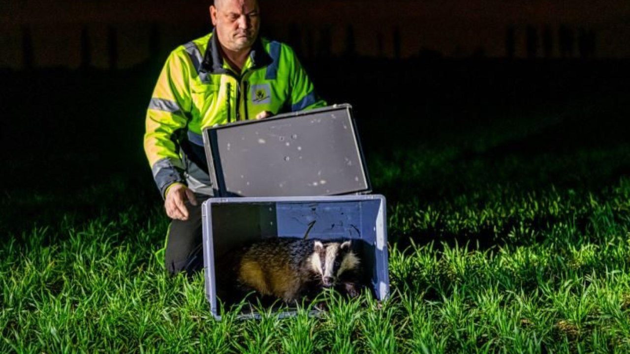 Provincie Limburg trekt portemonnee voor hulp in het wild levende dieren