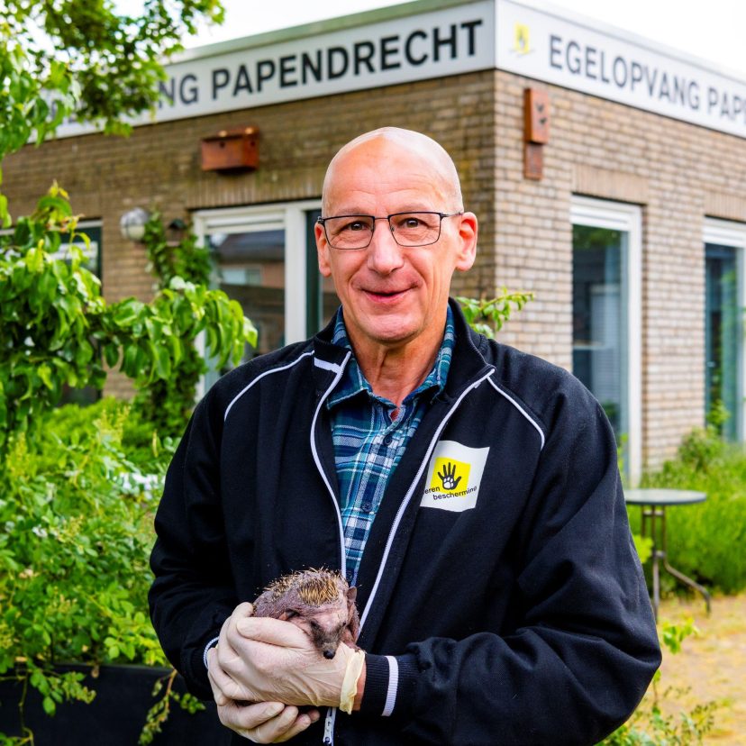 Egelopvang Papendrecht 7 3000px