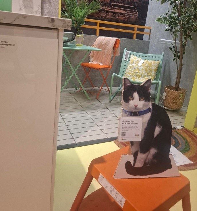 Kat Gijs in IKEA Delft