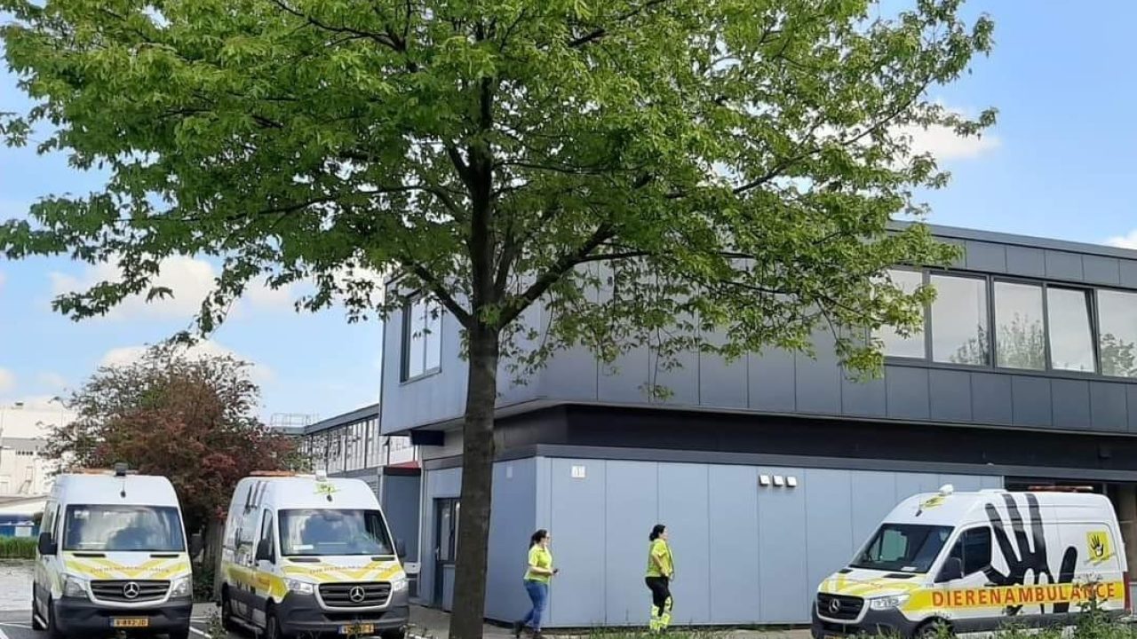 Inbraak bij dierenambulance Zuid-Holland Zuid
