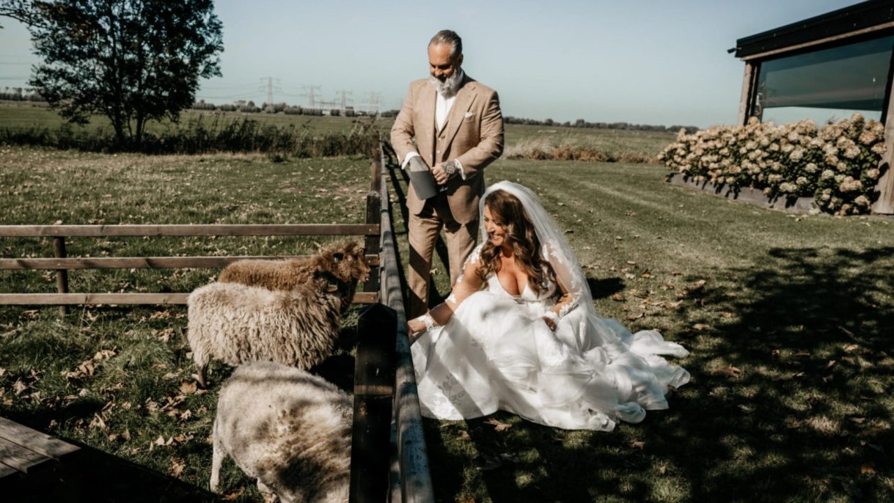 “Geen huwelijkscadeaus voor ons, wel voor asieldieren”
