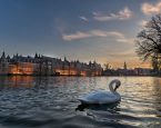Shutterstock 1412597117