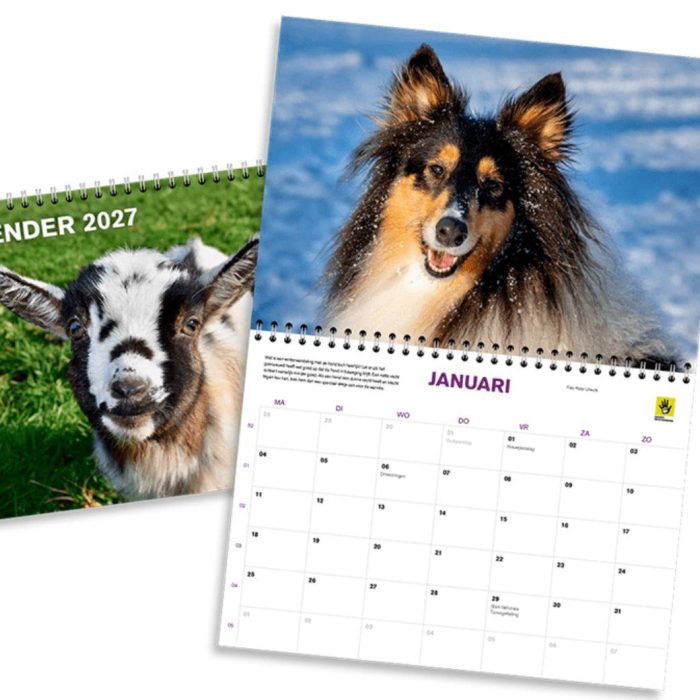 Bestel onze jaarkalender 2027