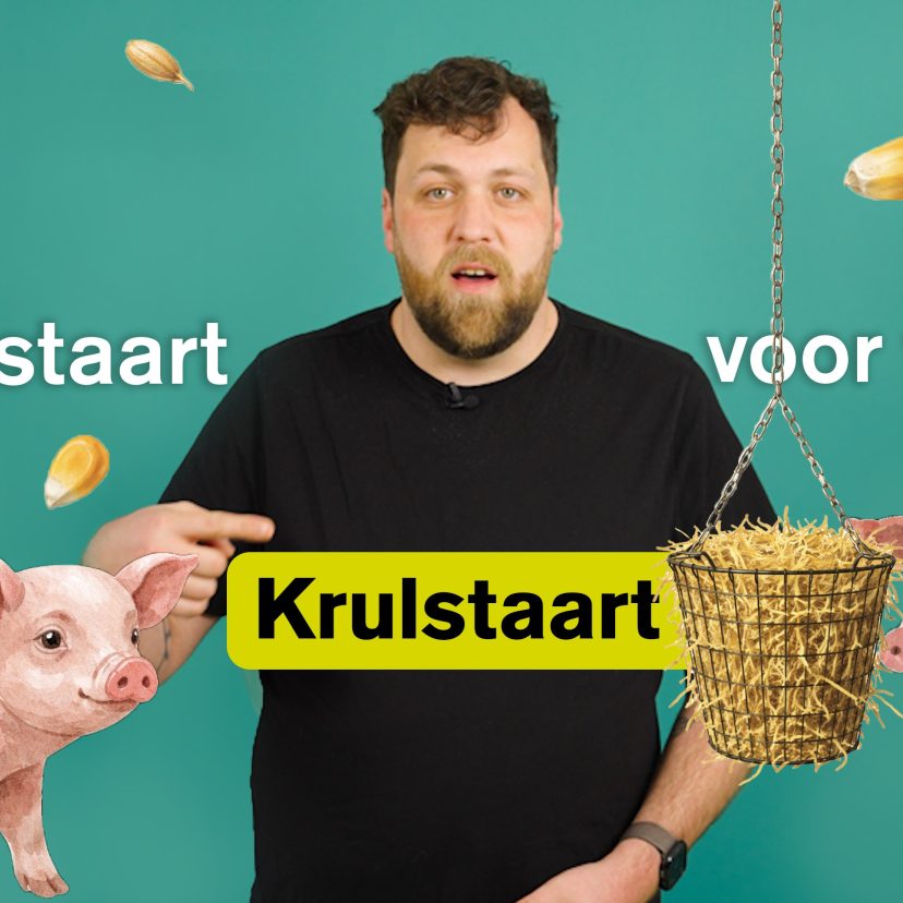 Krulstaart - still uit video