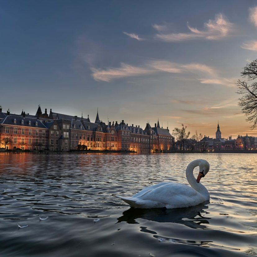 Shutterstock 1412597117