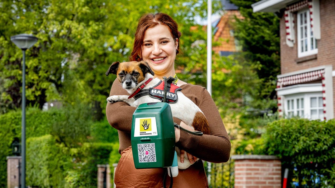 Collectant hond en collectebus