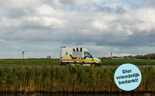 Diervriendelijk bedankt 1