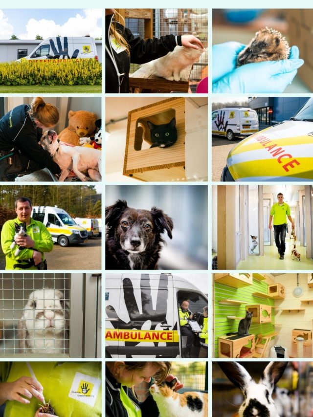 Banner vrijwilligers