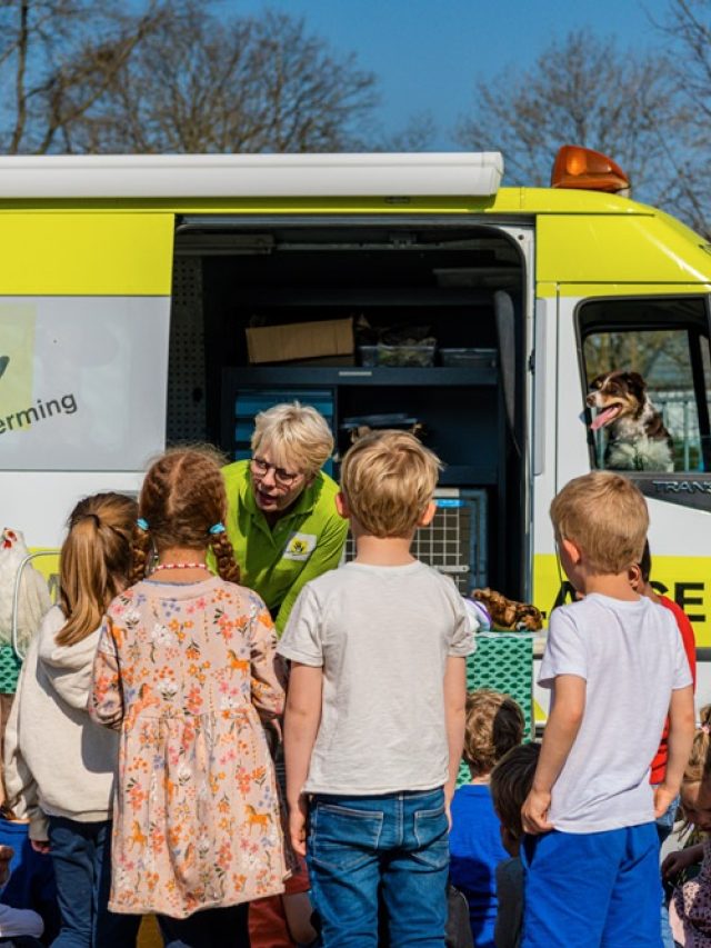 Edu Dierenambulance de Bilt 22