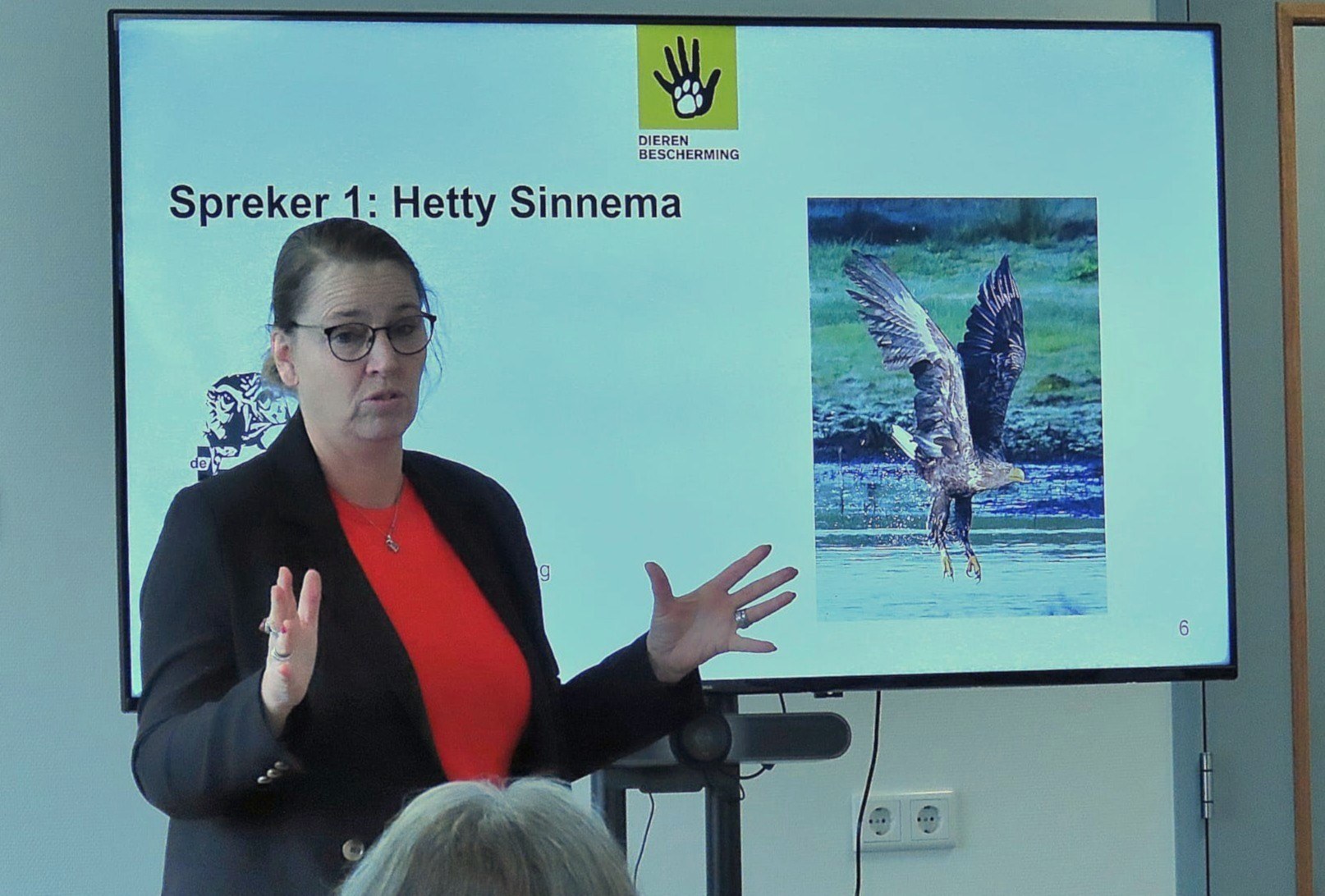 Hetty Sinnema