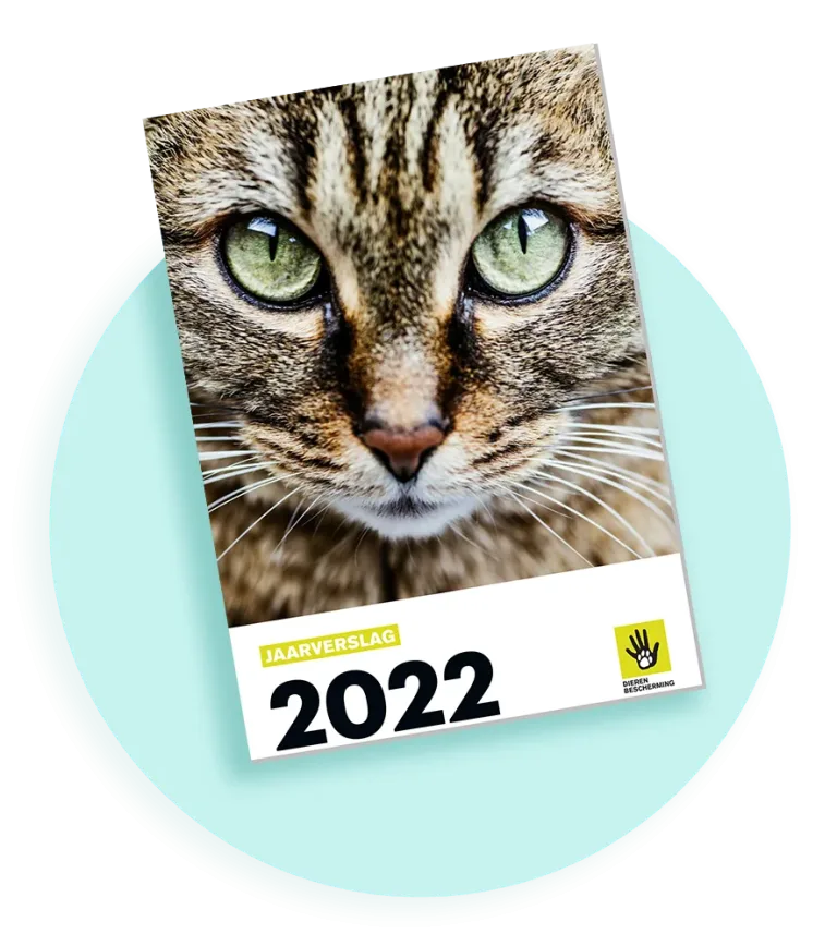 2026 jaarverslag2022