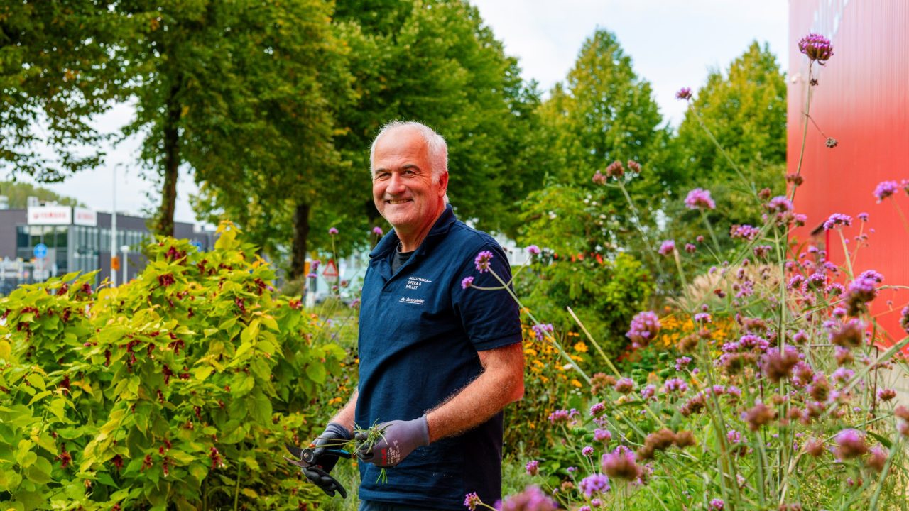 Mussen van harte welkom in tuin Decoratelier Nationale Opera & Ballet