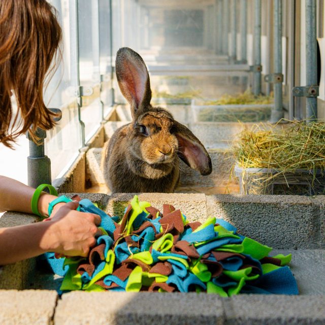 Geef om dieren op je eigen manier