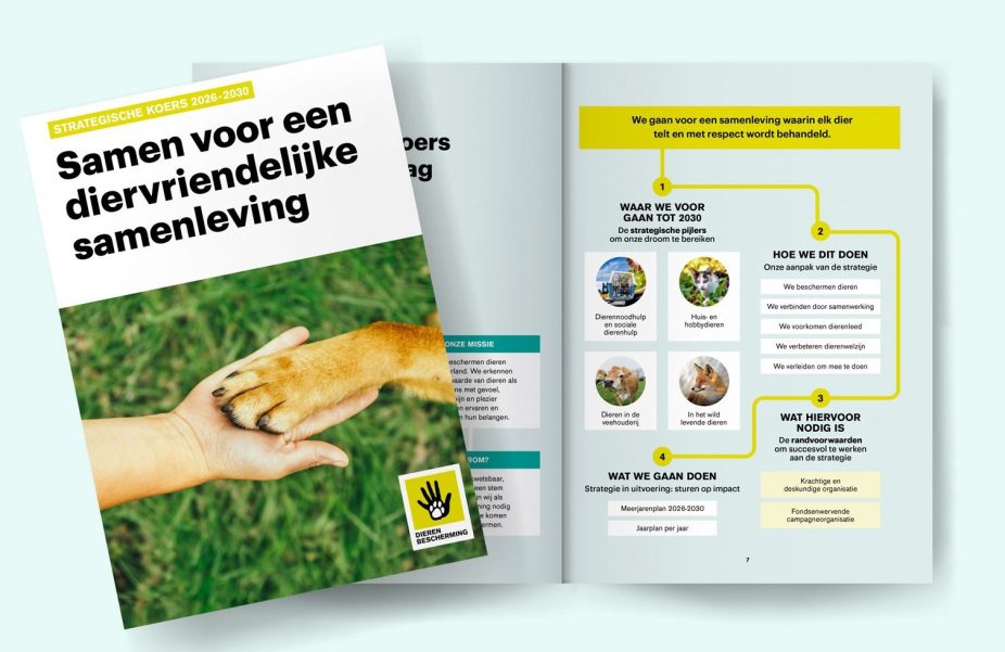 Magazine koers opengeslagen 2025