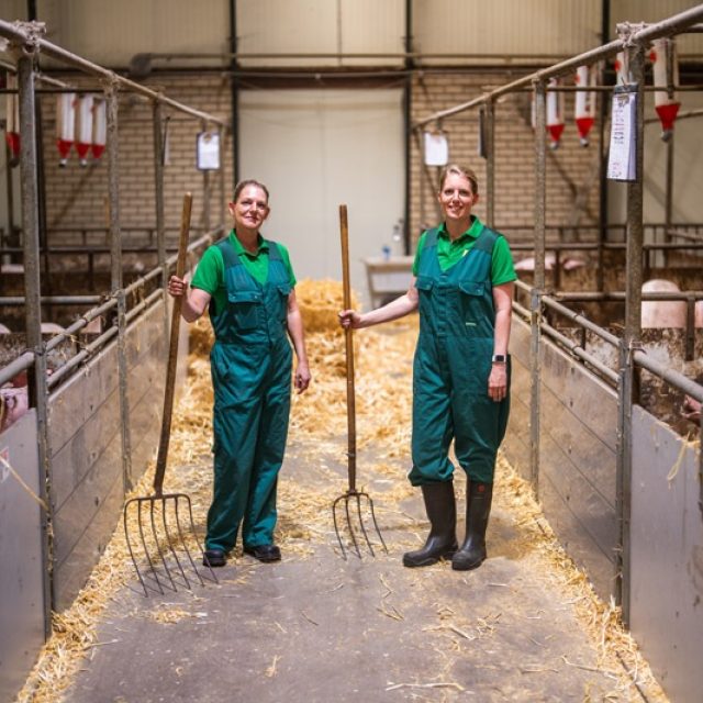 2026 07 Deltaplan veehouderij video Pad 3 De Hoeve Innovatie HR FINAL 001