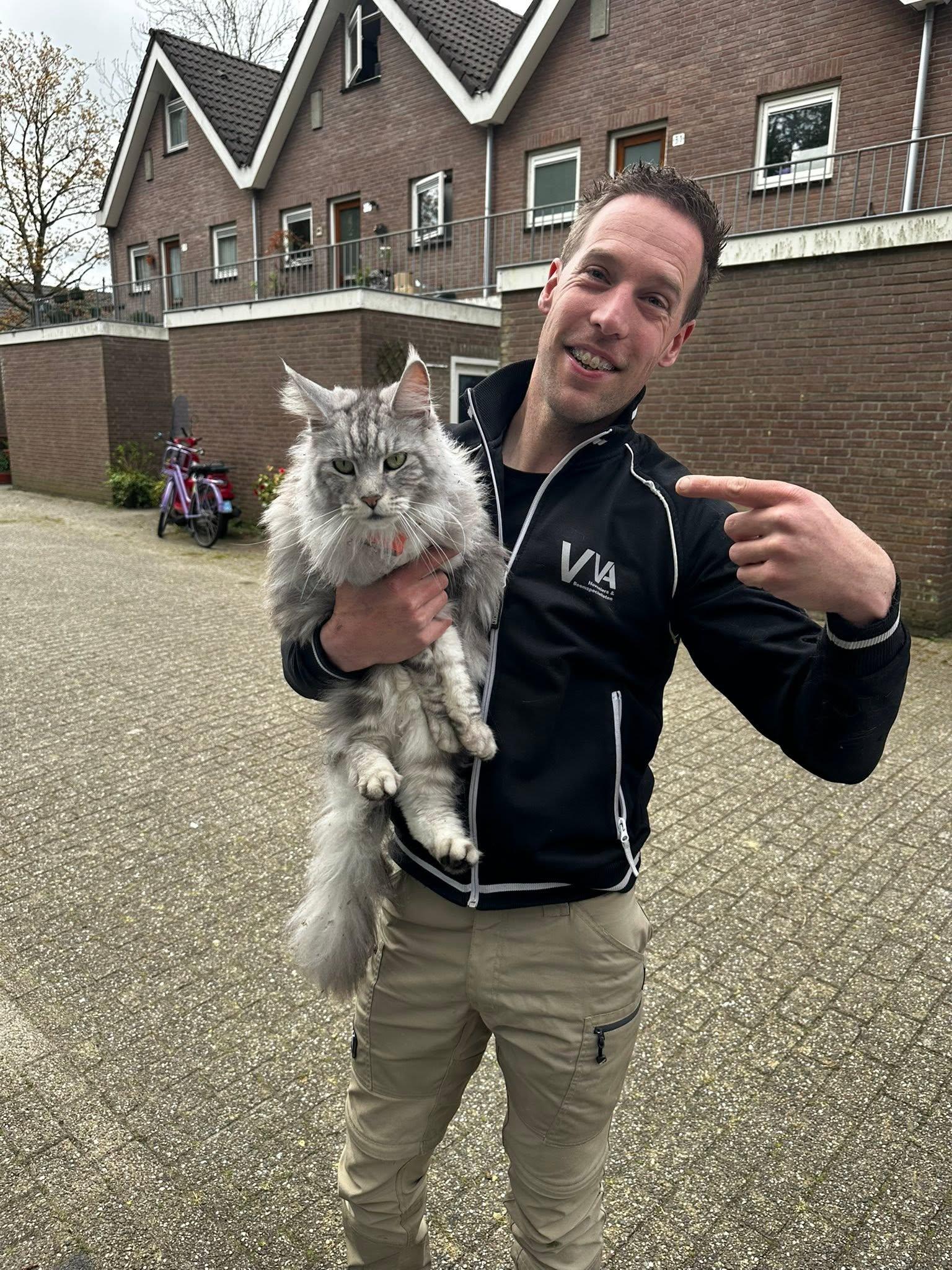 Vincent heeft een kat uit een boom gered.