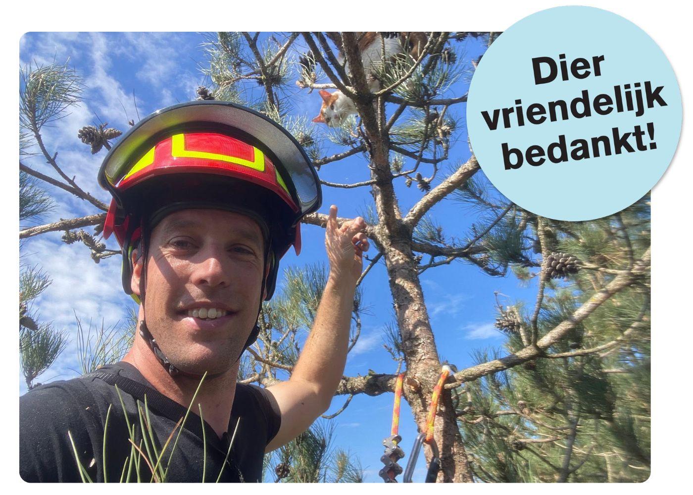 Vincent helpt kat uit boom