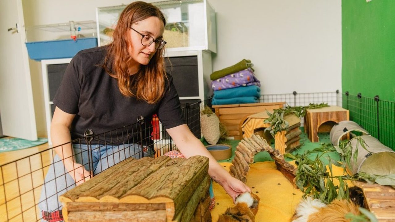 Bij Vera hoeft een knaagdier zich niet aan te passen