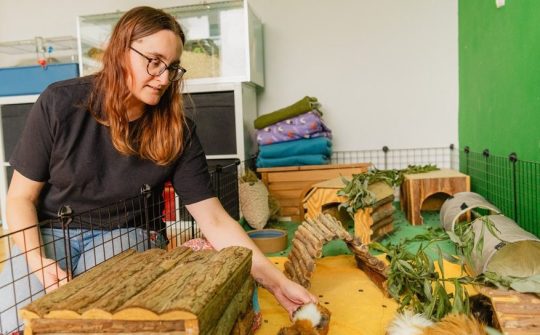 DB Vera Knaagdierenrusthuis 16