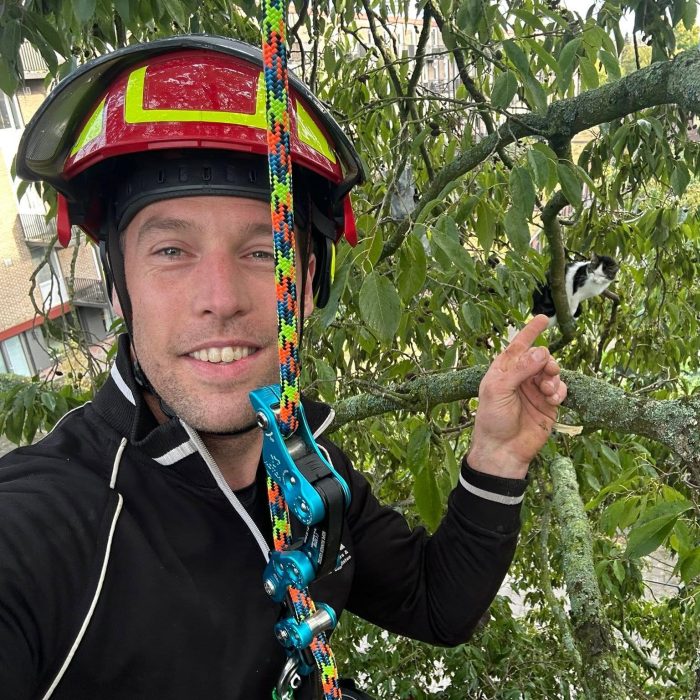 Vincent klimt in bomen voor katten