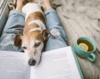Hond ligt op schoot bij baasje dat leest