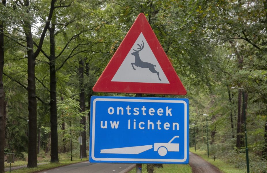 Wildaanrijding verkeersbord i Stock 1344395418