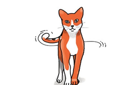 Kat Taal5