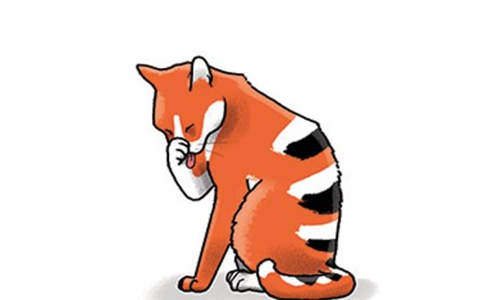 Kat Taal7