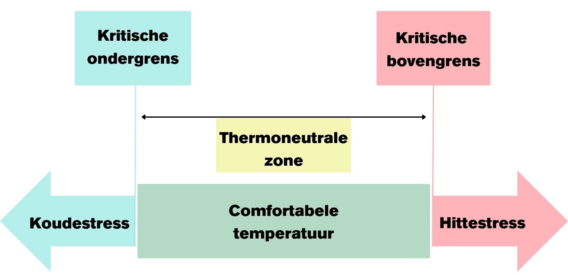 thermoneutrale zone