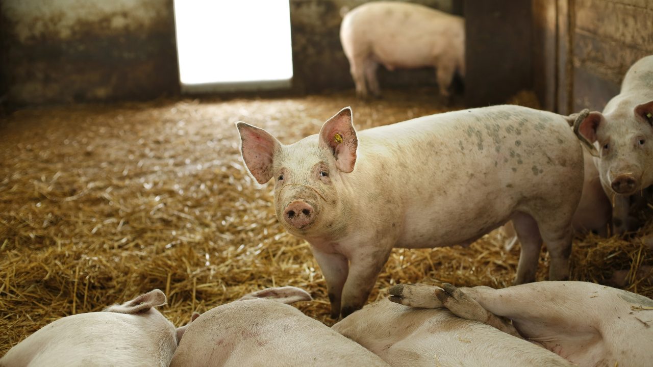 Een aantal goede stappen, maar belangrijke zaken ontbreken nog
