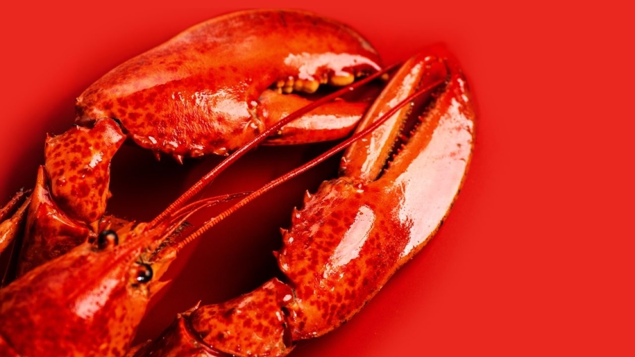 Eindelijk streep door het levend koken van krabben en kreeften