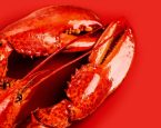 Shutterstock 2736594063lobster