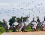 Shutterstock 2255630631