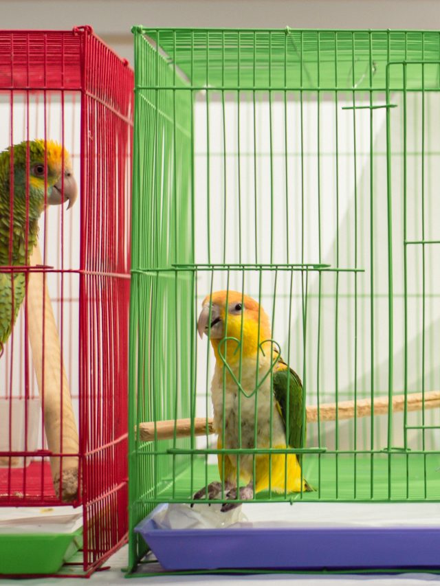 Shutterstock 2739057907