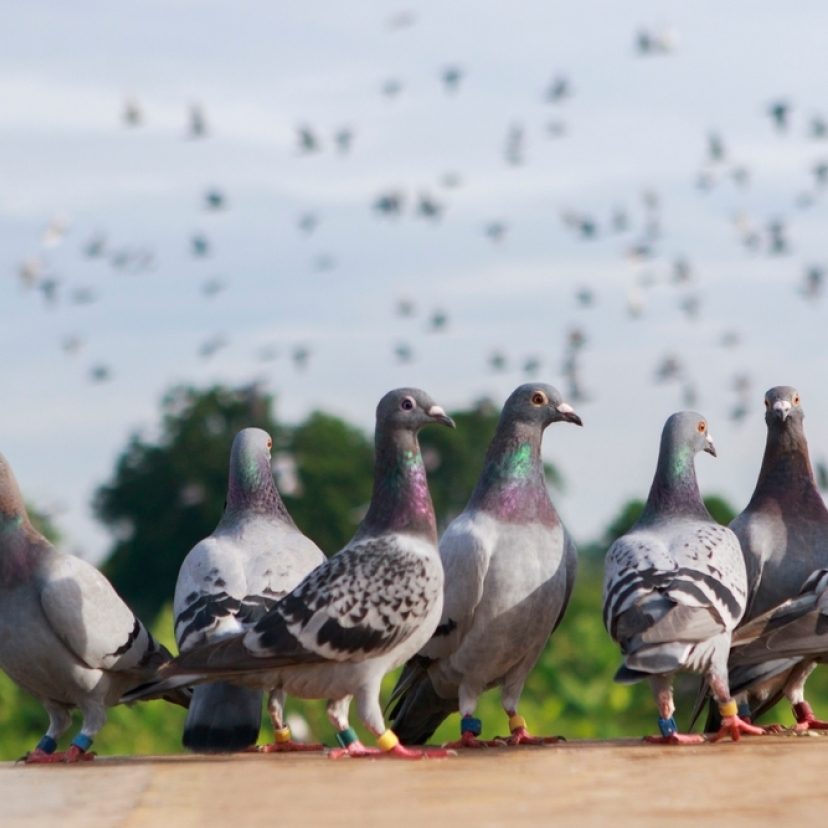 Shutterstock 2255630631