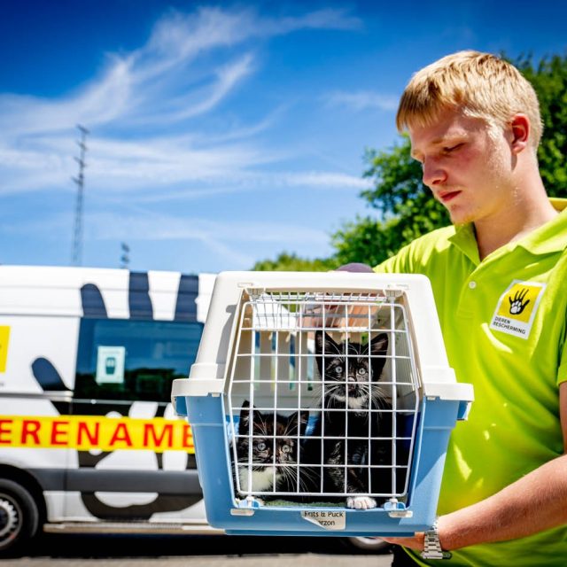Dierenambulances