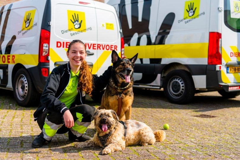 Spreekbeurt over dieren in nood