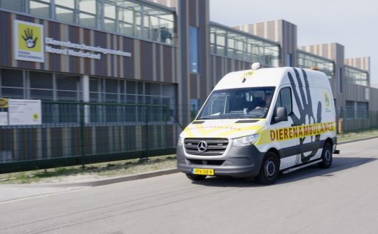 Ambulance