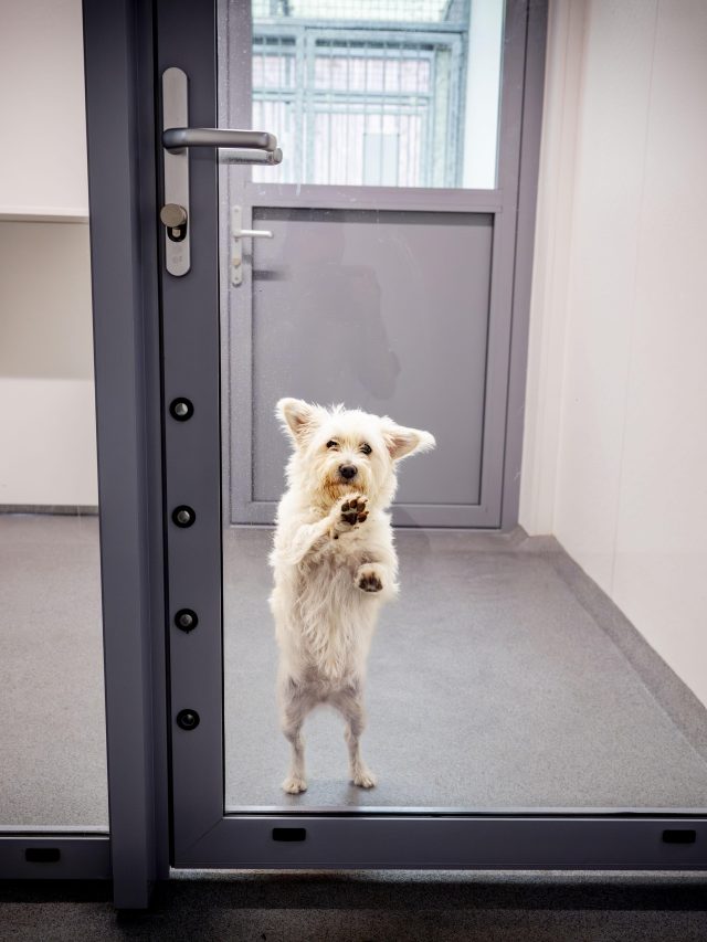Dieren20240823 8378