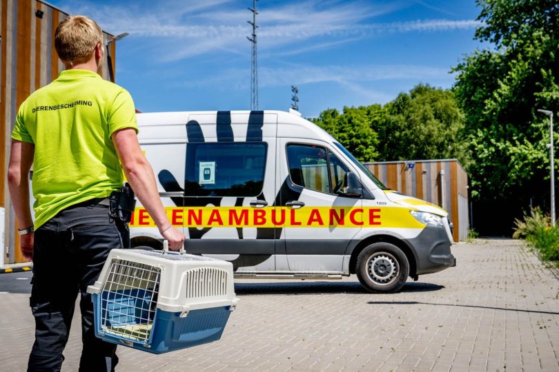 Goed doel voor dieren