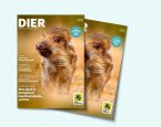 2026 DIER 3 inspirerende initiatieven 3