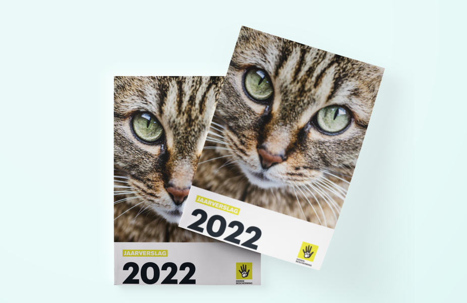 Jaarverslag 2022 cover