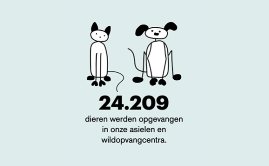 Nalaten 1 Dieren opgevangen in asielen
