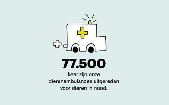 Nalaten 4 Ambulanceritten