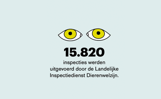 Nalaten 6 Inspecties door LID
